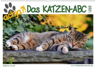 achja - Das Katzen-ABC (Wandkalender 2021 DIN A2 quer)