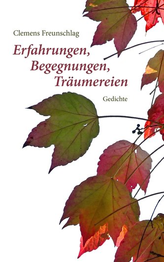 Erfahrungen, Begegnungen, Träumereien