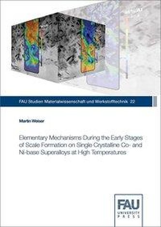Elementary Mechanisms During the Early Stages of Scale Formation on Single Crystalline Co- and Ni-base Superalloys at High Tempe