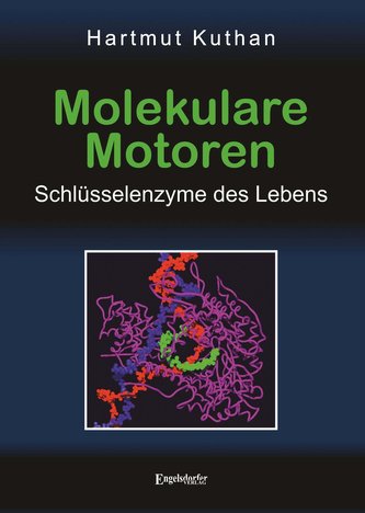Molekulare Motoren