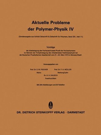 Aktuelle Probleme der Polymer-Physik