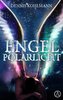 Engel im Polarlicht