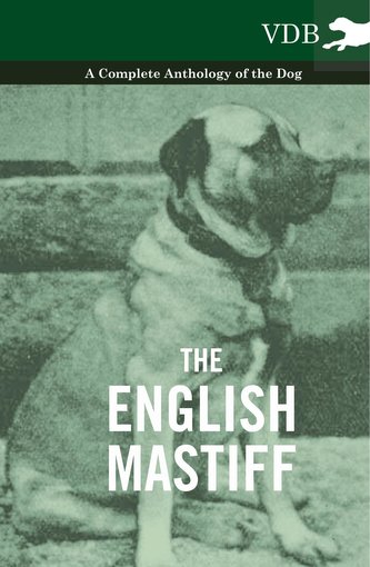 The English Mastiff - A Complete Anthology of the Dog