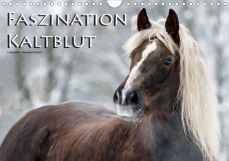 Faszination Kaltblut (Wandkalender 2021 DIN A4 quer)