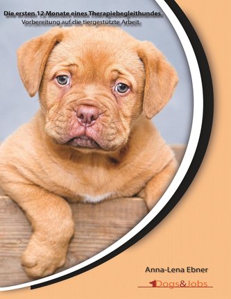 Die ersten 12 Monate eines Therapiebegleithundes