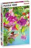 Puzzle 1000 - Kolibry PIATNIK