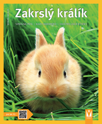 Zakrslý králík - Jak na to