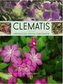 Clematis. Najpiękniejsze gatunki powojników w.2017