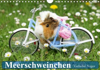 Meerschweinchen. Geliebte Nager (Wandkalender 2021 DIN A4 quer)