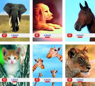 Zeszyt A5/32K linia Animals mix (10szt)