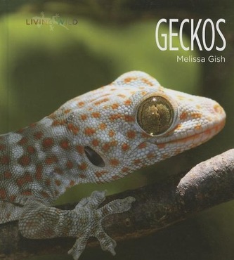 Geckos