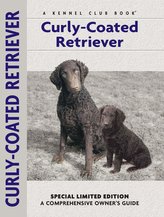 Curly-Coated Retriever