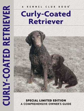 Curly-Coated Retriever
