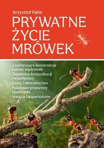 Prywatne życie mrówek