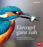 Eisvogel ganz nah