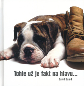 Tohle už je fakt na hlavu