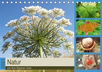 Natur von ihrer filigranen Seite (Tischkalender 2021 DIN A5 quer)