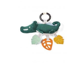 Krokodýl s aktivitami