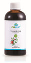 CARUN Konopný sirup s příchutí šípku BIO 300 ml
