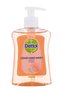 Dettol Antibacterial Tekuté mýdlo Liquid Hand Wash 250 ml Grapefruit unisex