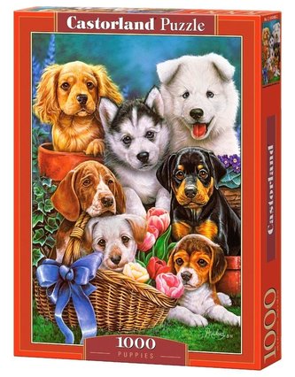 Puzzle 1000 Puppies CASTOR