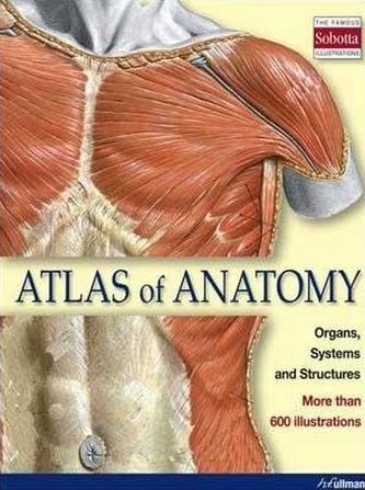 Atlas of Anatomy - Organs, Systems and Structures
