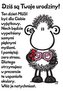 Karnet B6 Sheepworld 55402 Urodziny