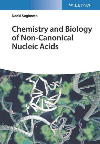 Chemistry and Biology of Non-canonical Nucleic Acids