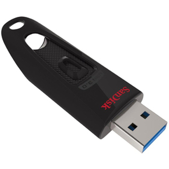 Flash disk SANDISK SDCZ48-256G-U46