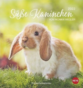 Süße Kaninchen 2022. Postkartenkalender