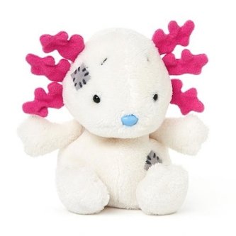 Miś BLUE NOSE - Aksolotl