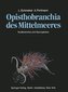 Opisthobranchia des Mittelmeeres