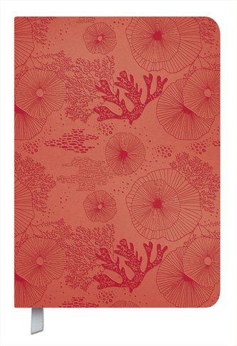 Timer Soft Touch koralle 2022