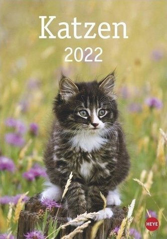 Katzen 2022