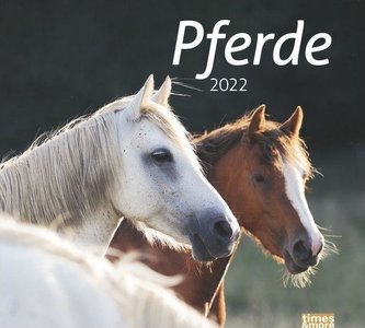 times & more Pferde Bildkalender 2022