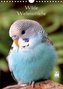 Wilde Wellensittiche (Wandkalender 2021 DIN A4 hoch)