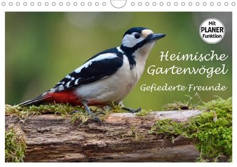 Heimische Gartenvögel Gefiederte Freunde (Wandkalender 2021 DIN A4 quer)