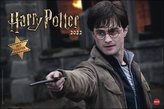 Harry Potter Broschur XL - Kalender 2022