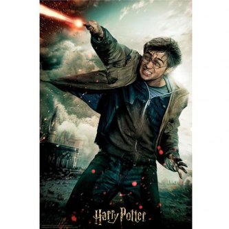 3D puzzle Harry Potter: Kouzlo - Magic 300 kusů ()