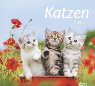 times & more Katzen Bildkalender 2022