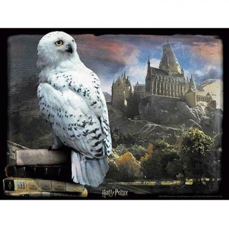 3D puzzle Harry Potter: Hedvika - sněžná sova 300 kusů (46 x 61 cm)