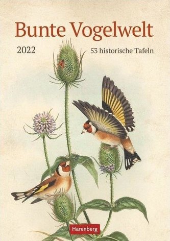 Bunte Vogelwelt Kalender 2022