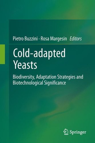 Cold-adapted Yeasts