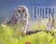 Eulen Kalender 2022