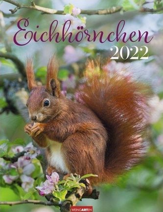 Eichhörnchen Kalender 2022