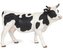 Krowa czarno-biała