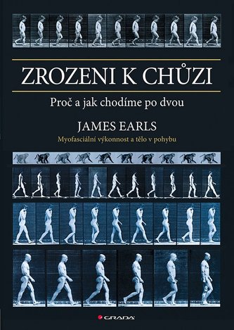 Zrozeni k chůzi - Myofascinální výkonnost a tělo v pohybu