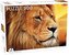 Puzzle 500 Animals: African Lion