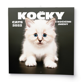 Kočky 2022 - nástěnný kalendář