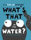 What's That in the Water?: A Pop-Up Mystery